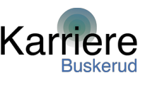 Logo, Karriere Buskerud